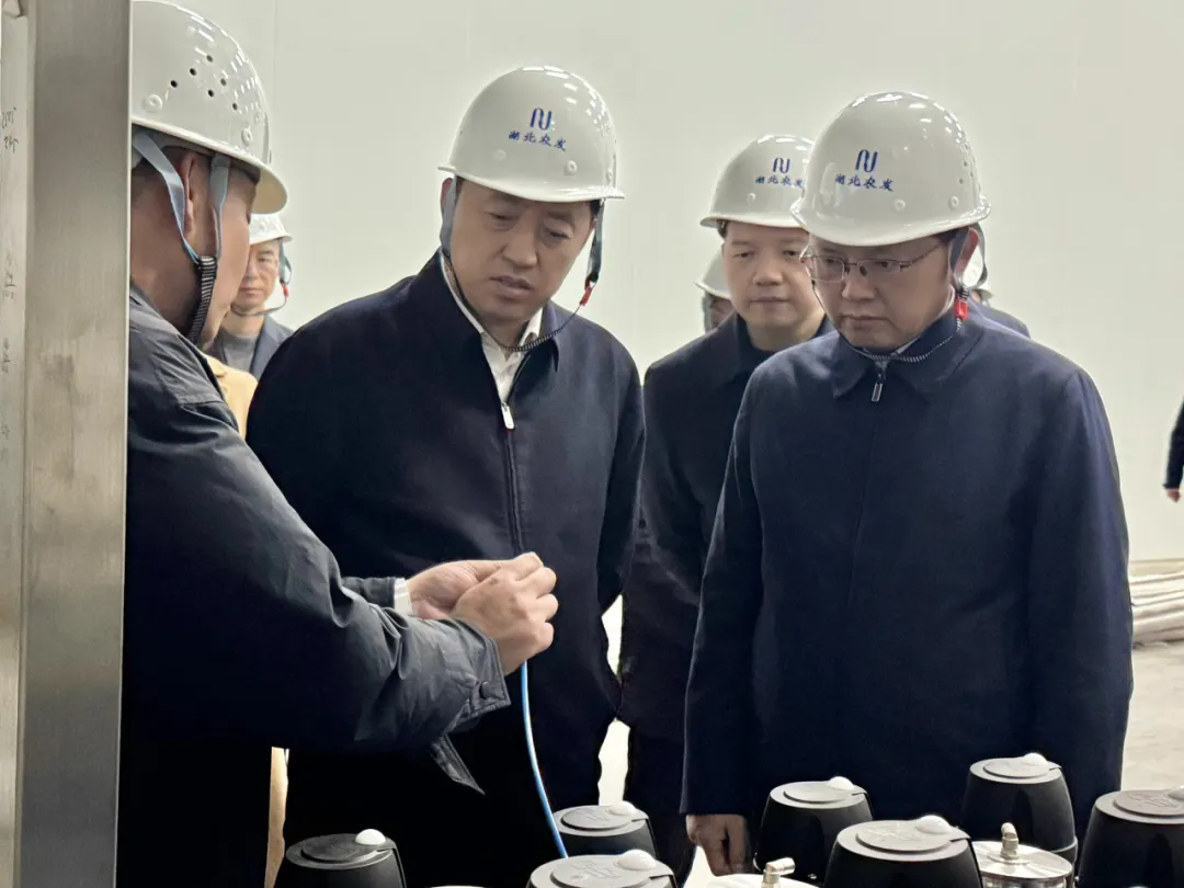 楊良鋒一行調(diào)研蛋品精深加工項目